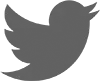 Twitter Logo